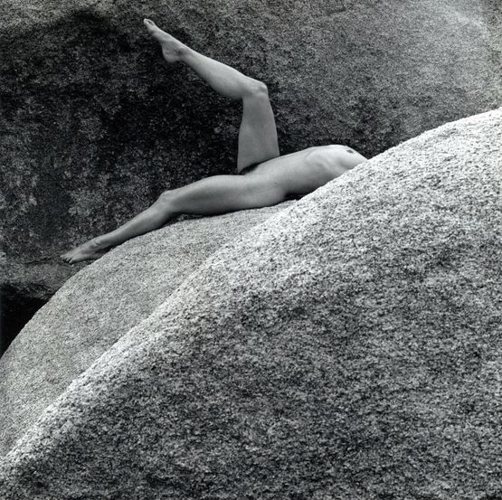 Lisa Lyon by Robert Mapplethorpe contemporary artwork Photography