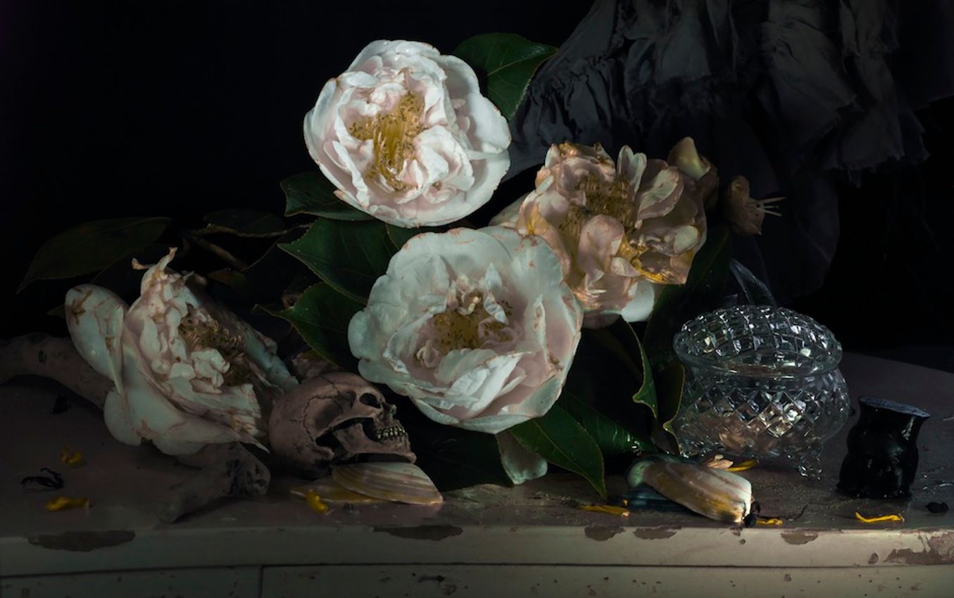 Fiona Pardington