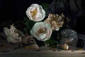 Fiona Pardington