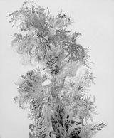 Earth Blossom No.2 by Imhathai Suwatthanasilp contemporary artwork drawing painting print