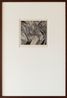 Midnight Lily by The Estate of Mrinalini Mukherjee contemporary artwork Print