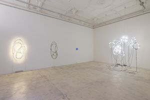 Brigitte Kowanz