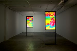 Harmony Korine