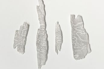 Cui Fei contemporary artist