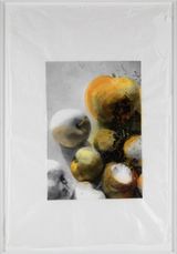 Apples at Night by Martin Walde contemporary artwork print works on paper