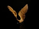 Gold Wings 2 by Suzann Victor contemporary artwork mixed media