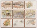 Entangled layers of the spectral rivers of the Wimmera plains  leaf canopy soil crust fungal web invertebrate fauna water and rock by John Wolseley contemporary artwork Painting