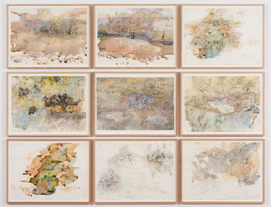 Entangled layers of the spectral rivers of the Wimmera plains  leaf canopy soil crust fungal web invertebrate fauna water and rock by John Wolseley contemporary artwork Painting