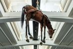 Maurizio Cattelan contemporary artist