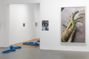 Wolfgang Tillmans