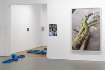 Contemporary art exhibition Wolfgang Tillmans Glade  Clairiere at Galerie Chantal Crousel Paris France
