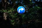 OUT OF NOISE by Ruriko Taguchi contemporary artwork Photography
