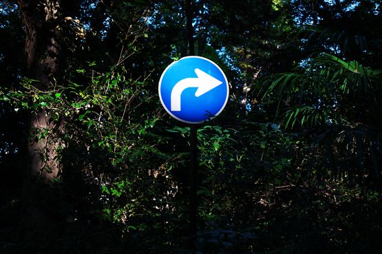 OUT OF NOISE by Ruriko Taguchi contemporary artwork Photography