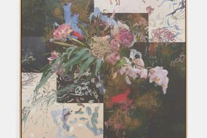 Petra Cortright