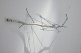 Untitled by Dongwook Lee contemporary artwork painting photography print sculpture works on paper