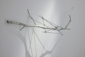 Dongwook Lee