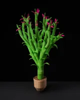Plant 40 by Nina Katchadourian contemporary artwork painting sculpture