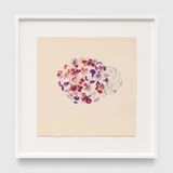 Untitled TAM.1535 Hydrangea from the Portfolio Flowers by Ruth Asawa contemporary artwork print works on paper