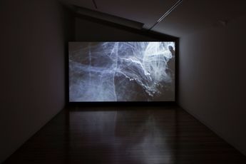 Contemporary art exhibition Joyce Campbell Flightdream at Two Rooms Auckland New Zealand
