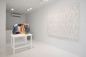Ghada Amer