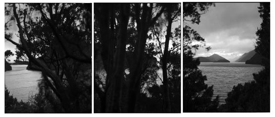 15.5.1995. Views from Astronomers Point. Tamatea-Dusky Sound. After Russell Duncan. by Mark Adams contemporary artwork Photography