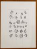 Stone telling Tanah dan air by Boedi Widjaja contemporary artwork Works on Paper