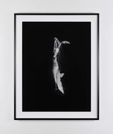 Overlap Merge by Dorothy Cross contemporary artwork print