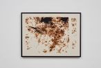 Puerto RicoBurned 8 by Teresita Fernandez contemporary artwork Works on Paper