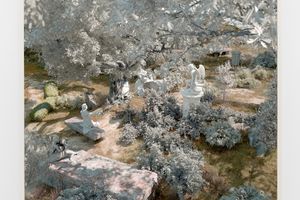 Chris Coy