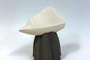 Silvester Hoi-ching Mok