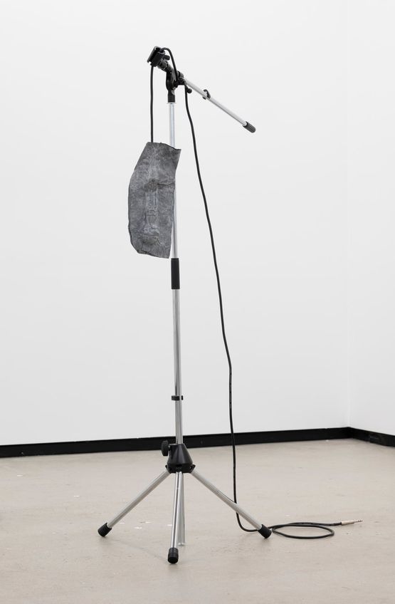 Mic Sinker by Caitlin Devoy contemporary artwork Sculpture