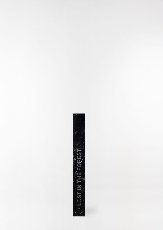 LOST IN THE FOREST black marble columns by Claudia Comte contemporary artwork Sculpture