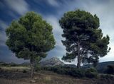 Sainte-Victoire 3200 by Boomoon contemporary artwork photography