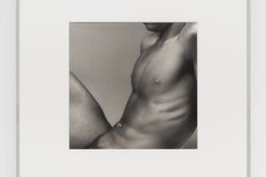 Robert Mapplethorpe