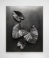 Light on Alocasia Odora Leaves by Lee Jo-mei contemporary artwork sculpture