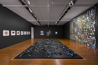 Contemporary art exhibition Fiona Hall Afraid Cascade at Roslyn Oxley9 Gallery Sydney Australia