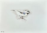 Chicakdee by Summer Mei-Ling Lee contemporary artwork works on paper