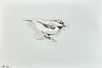 Summer Mei-Ling Lee contemporary artist
