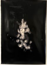 Against the sun XIV by Alexandra Karakashian contemporary artwork works on paper