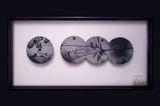Flora of Formosa  Under the Moon Grape-leaved Anemone by Yang Chung-Ming contemporary artwork print