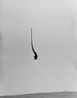 Sorcerers pipe by Joao Maria Gusmao Pedro Paiva contemporary artwork Photography