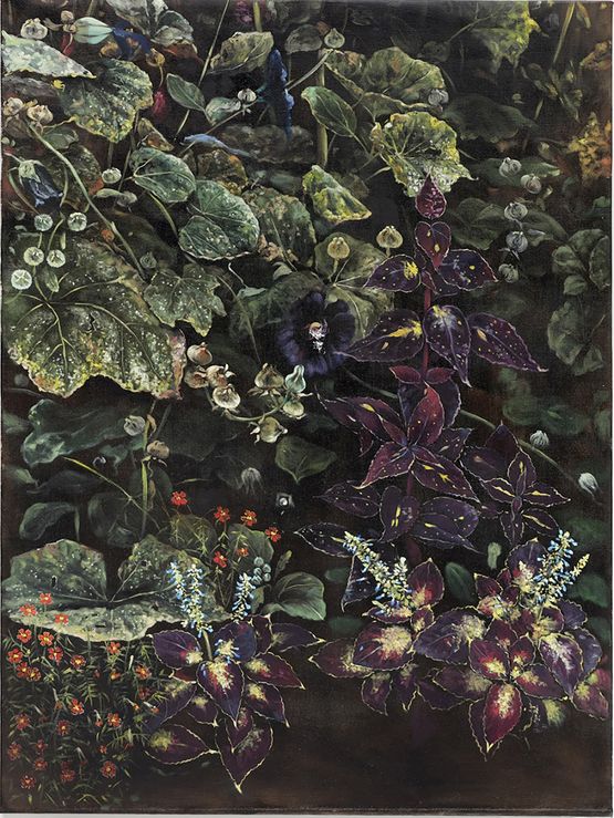 Shade plants by Helena Parada Kim contemporary artwork Painting