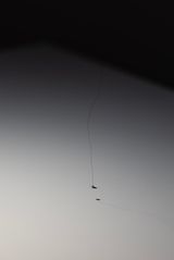 Hair Fly by B. Koh contemporary artwork sculpture
