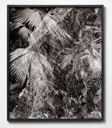Sun Sets in Stone by Julian Charriere contemporary artwork print