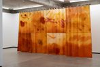 Ruby Wilkinson contemporary artist