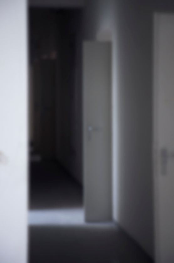 Ohne Titel 242 by Eva Schlegel contemporary artwork Photography
