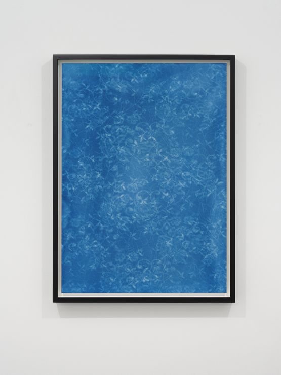 Composite No. 3 by Gavin Hipkins contemporary artwork Photography