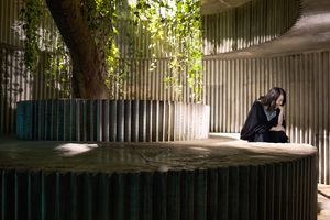 Isaac Julien