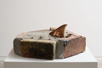 Wendelien Bakker contemporary artist