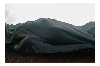 Tarek Haddad contemporary artist